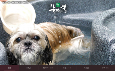 関東地方で犬と楽しめる日帰り温泉4選 Petty ペッティ